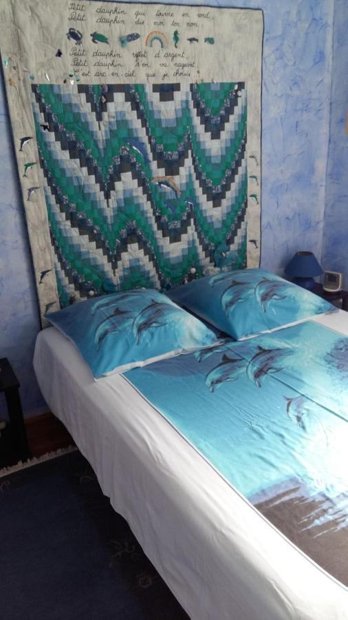 Bed and Breakfast Les Hibiscus Saint-Jean-le-Centenier Экстерьер фото